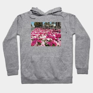 Israel, Maale Adumim. Flowers Hoodie